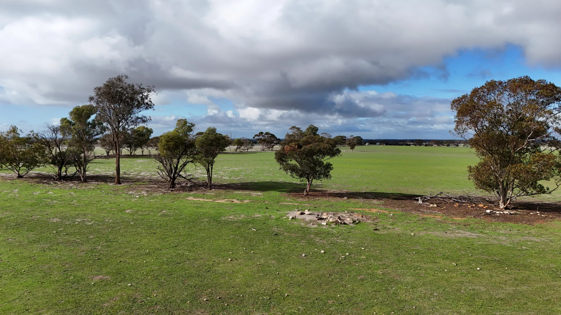 Additional image 6 of 3000 Rabbit Proof Fence Rd, Pingrup WA 6343