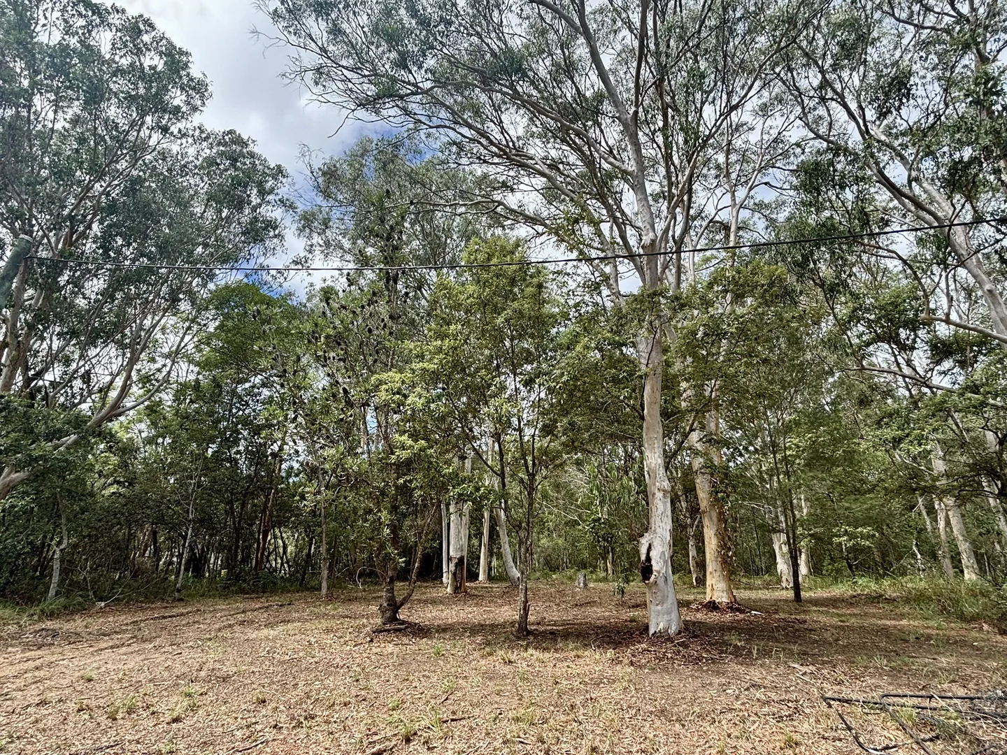 Additional image 4 of 49 Canaipa Ridge Road, Russell Island QLD 4184