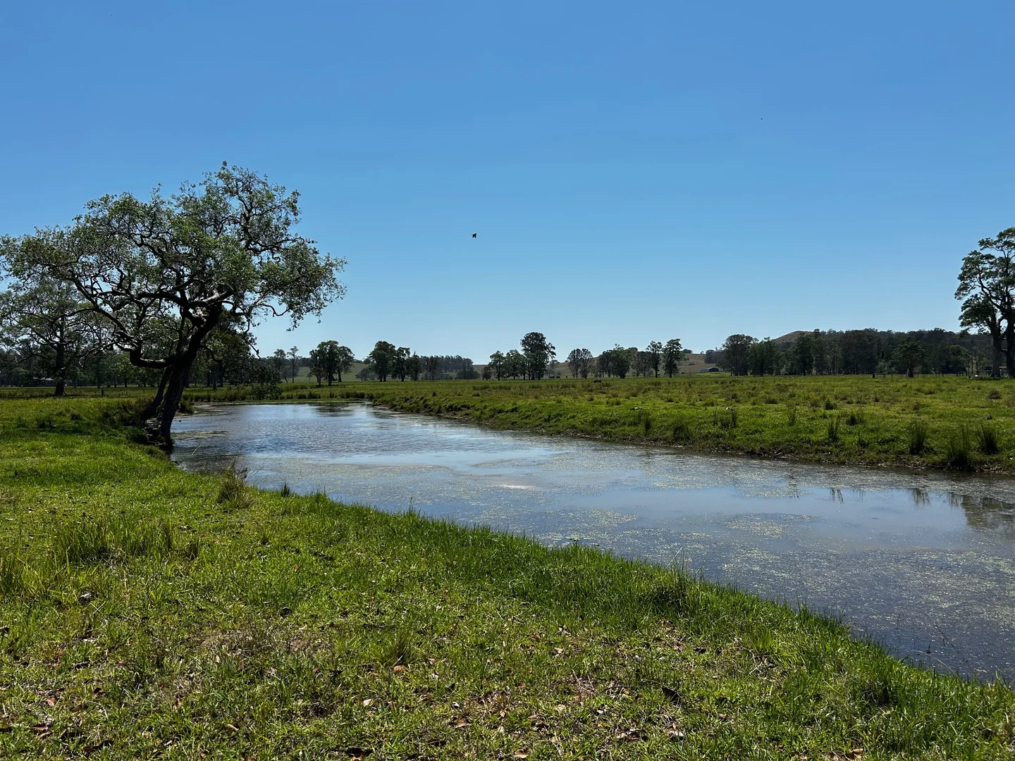 Additional image 18 of 140 Hogarth Range Road, Mongogarie NSW 2470
