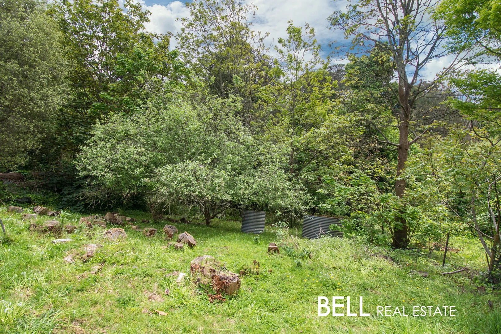 Additional image 5 of 257 Olinda-Monbulk Road, Monbulk VIC 3793