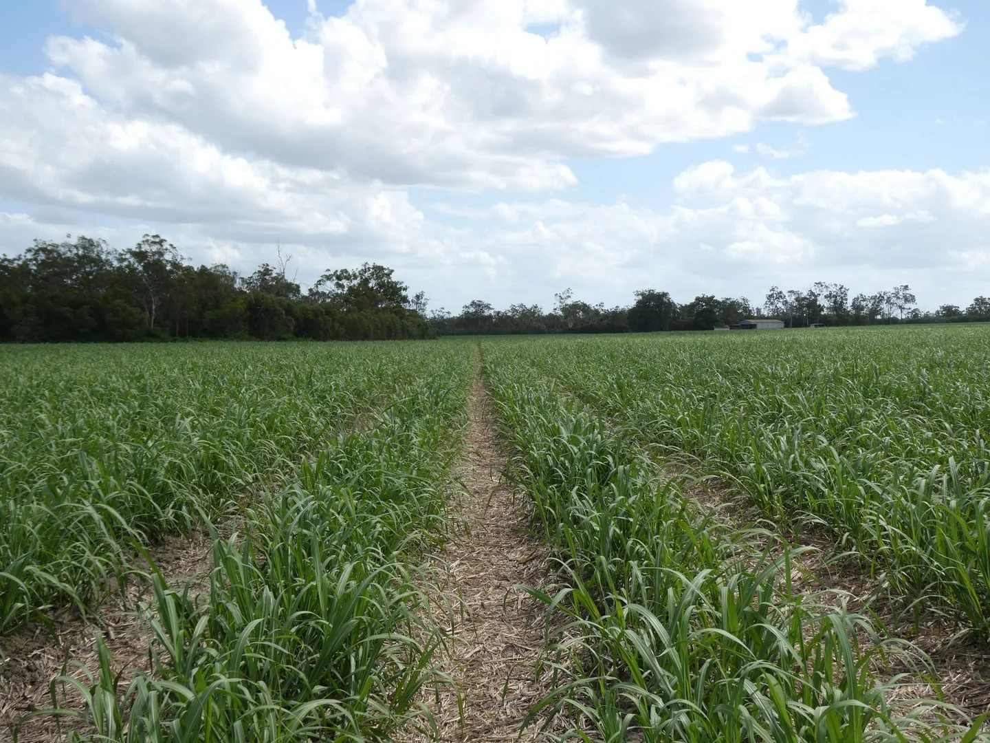 Additional image 9 of 3392 Childers Road, Gregory River QLD 4660