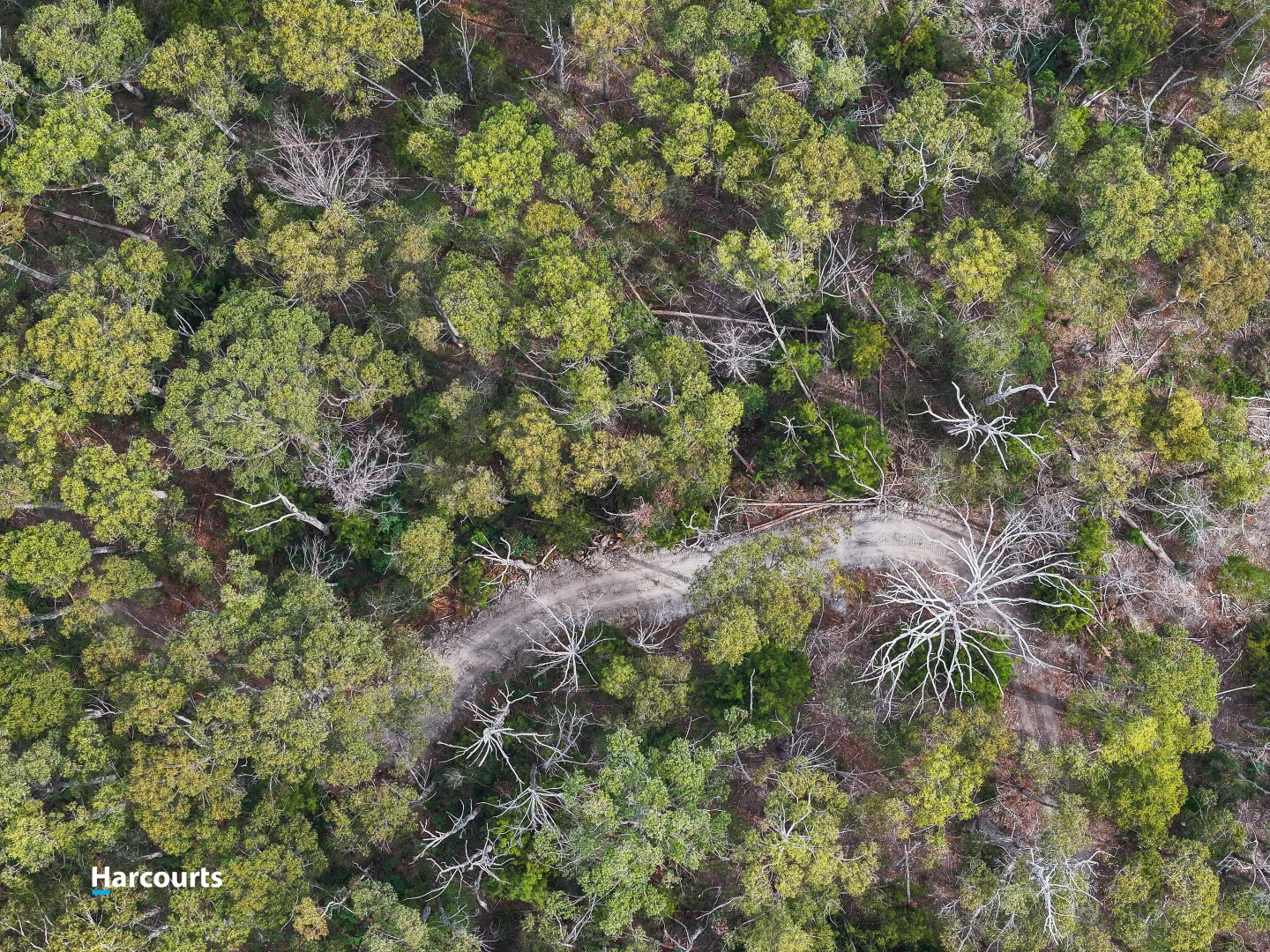 Additional image 11 of Lot 1 Slaters Road, Cradoc TAS 7109