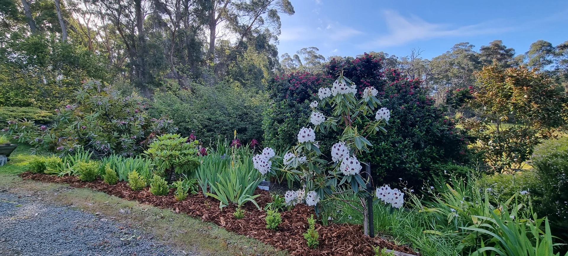 Additional image 21 of 77 Esperance Coast Road, Surges Bay TAS 7116