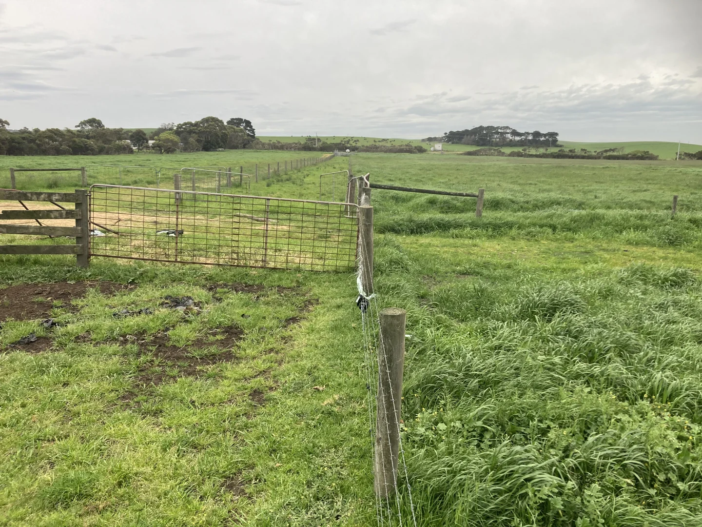 Additional image 11 of 4090 Bass Highway, Dalyston VIC 3992