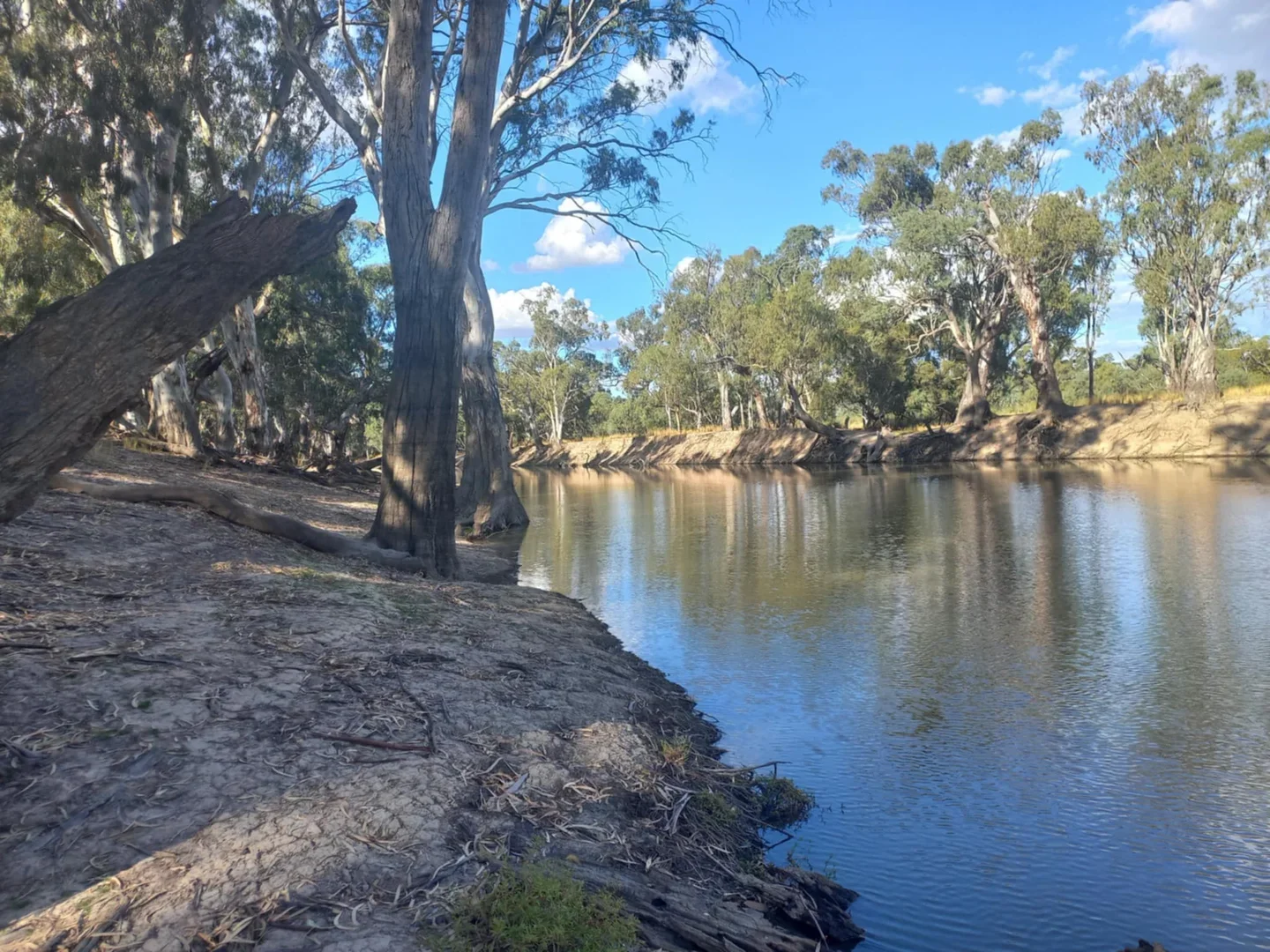 1207 Frasers Road, Niemur NSW 2733