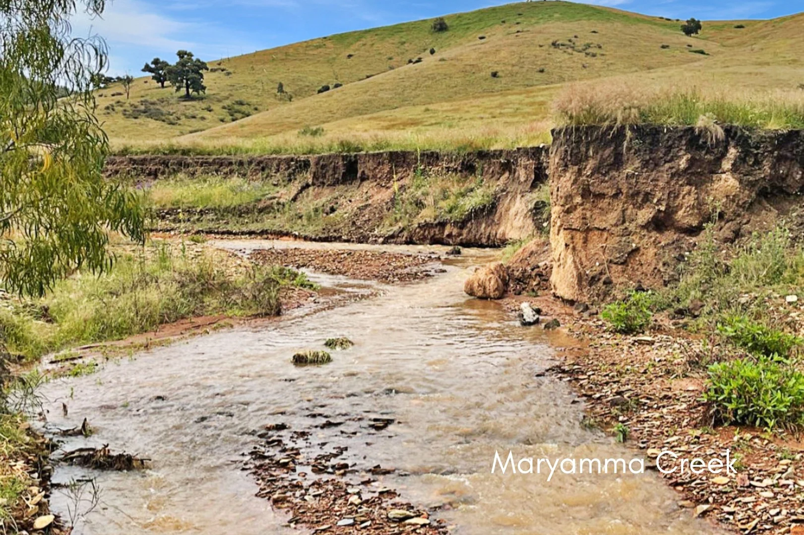 Additional image 2 of Mount Darling Road, Wyangala NSW 2808