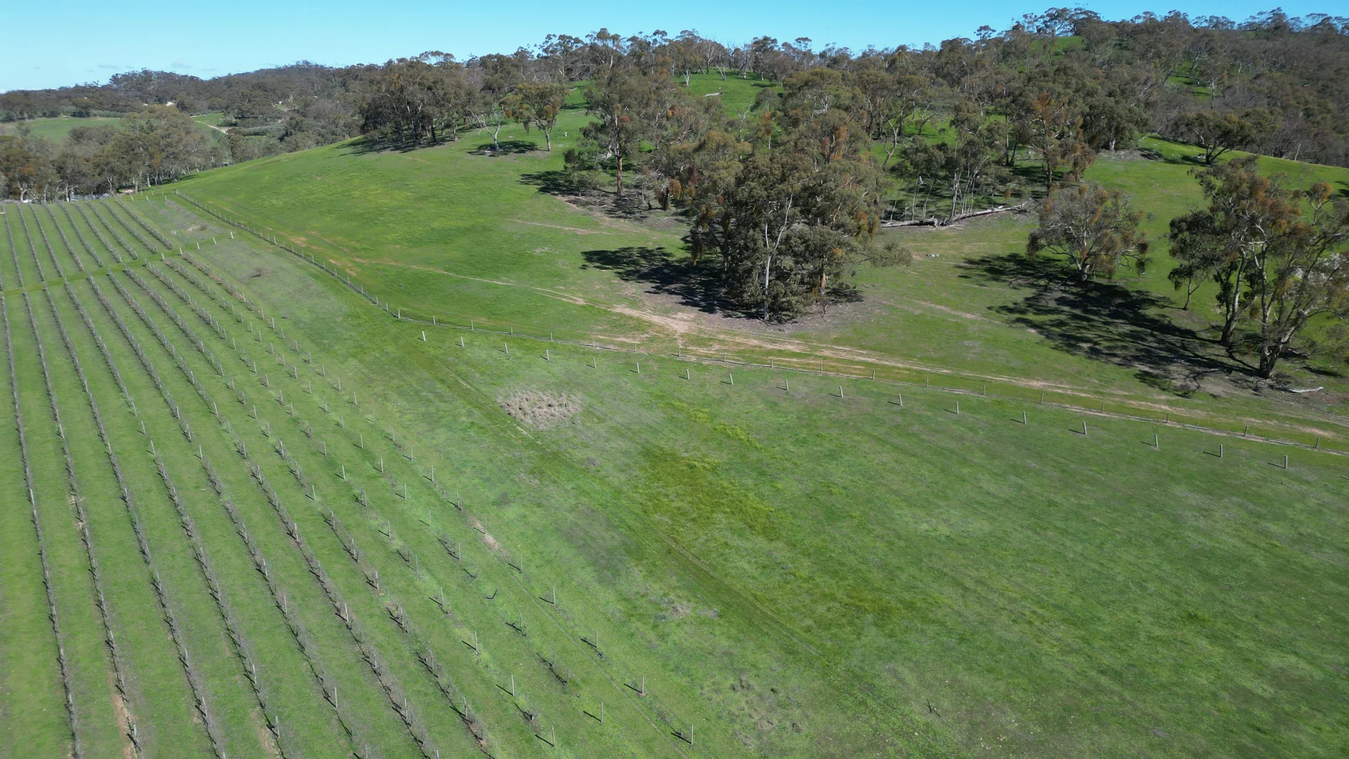 Additional image 24 of 97 McCord Lane, Gillentown SA 5453