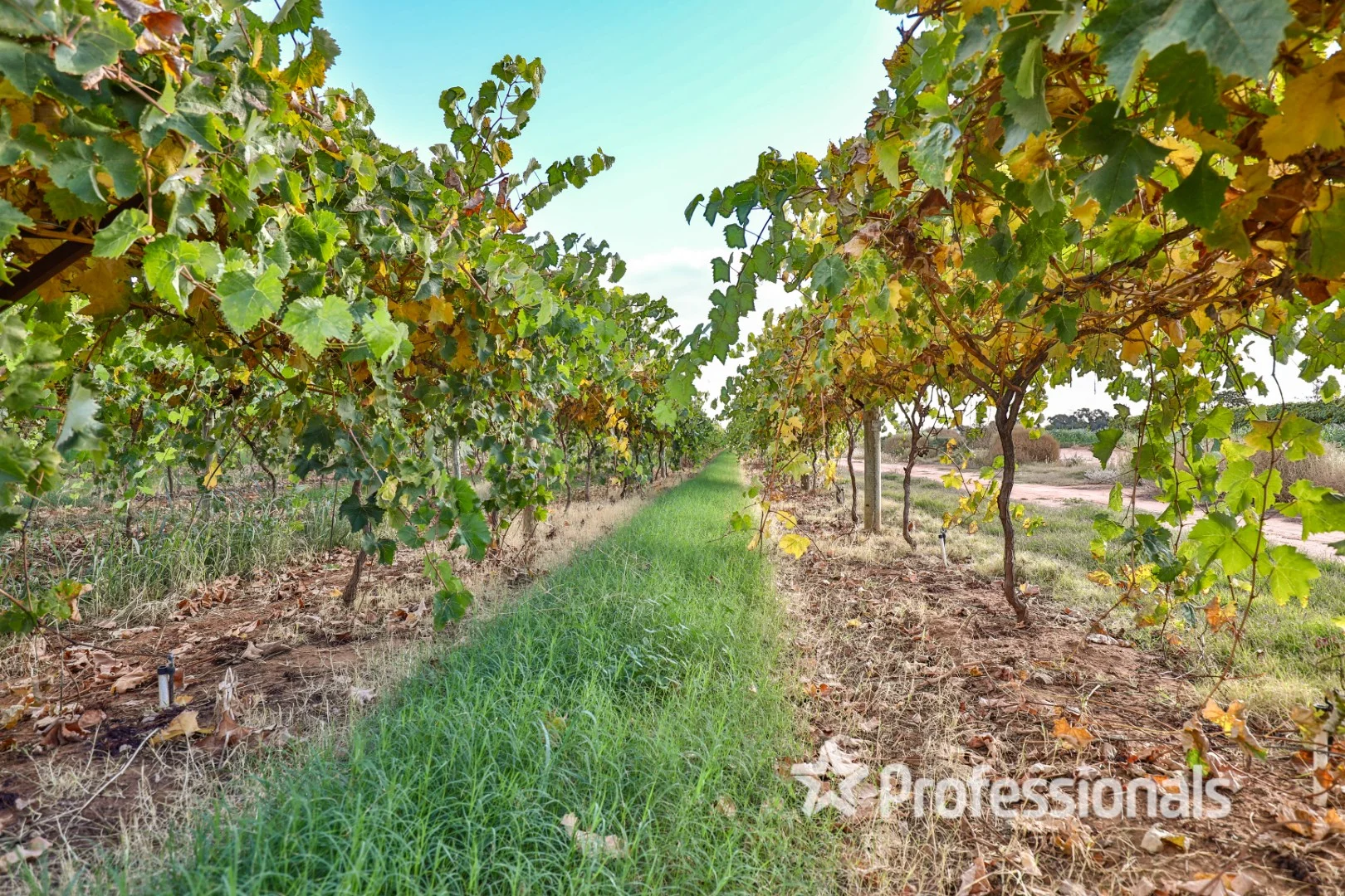 Additional image 11 of Lot 2 Myall Street, Cardross VIC 3496