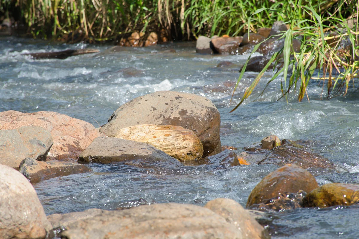 Additional image 28 of 312 Gungas Road, Nimbin NSW 2480