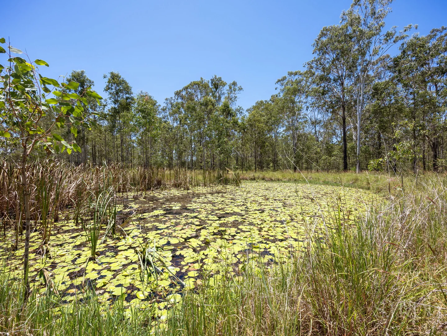 Additional image 2 of 43 Warren Road, Wanora QLD 4306