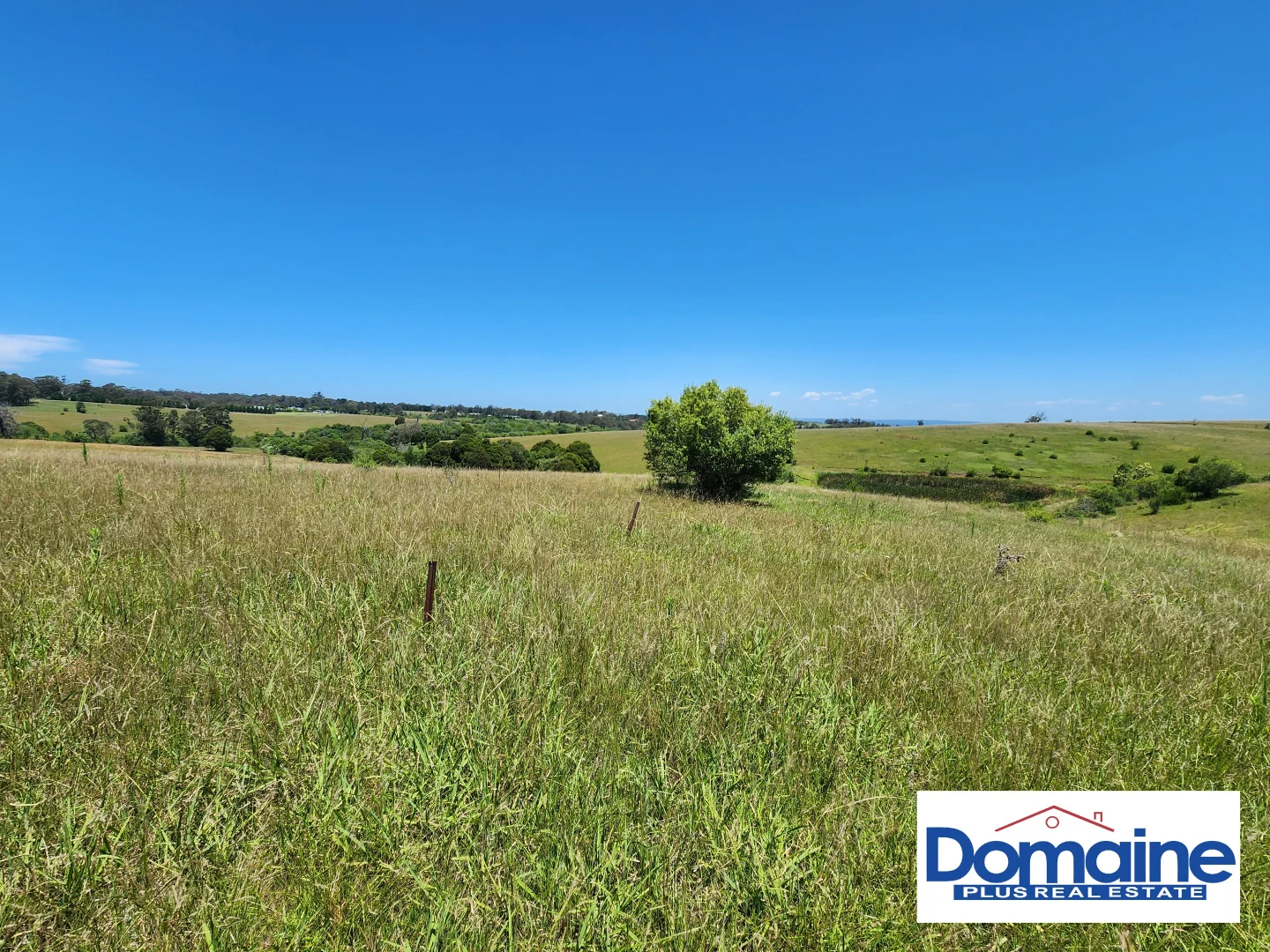 Additional image 6 of 112 Donalds Range Road, Razorback NSW 2571