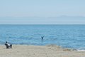 Additional image 37 of 145 Bennett Rd, Aptos, CA, 95003