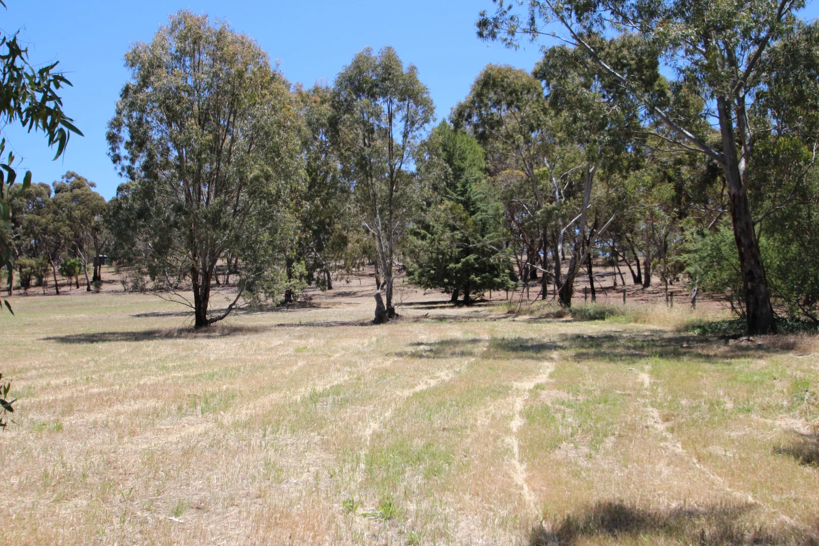 Additional image 4 of Lt 119/120 St Georges Terrace, Armagh SA 5453