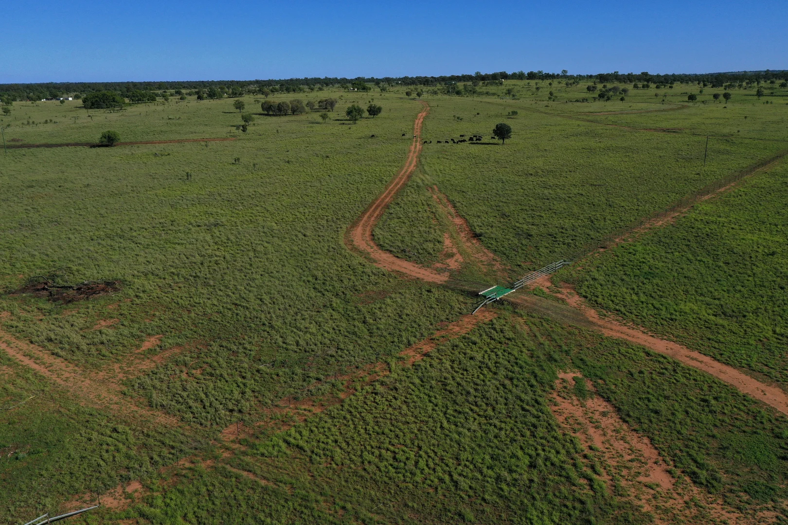 Additional image 15 of 888 Dargal Road, Roma QLD 4455