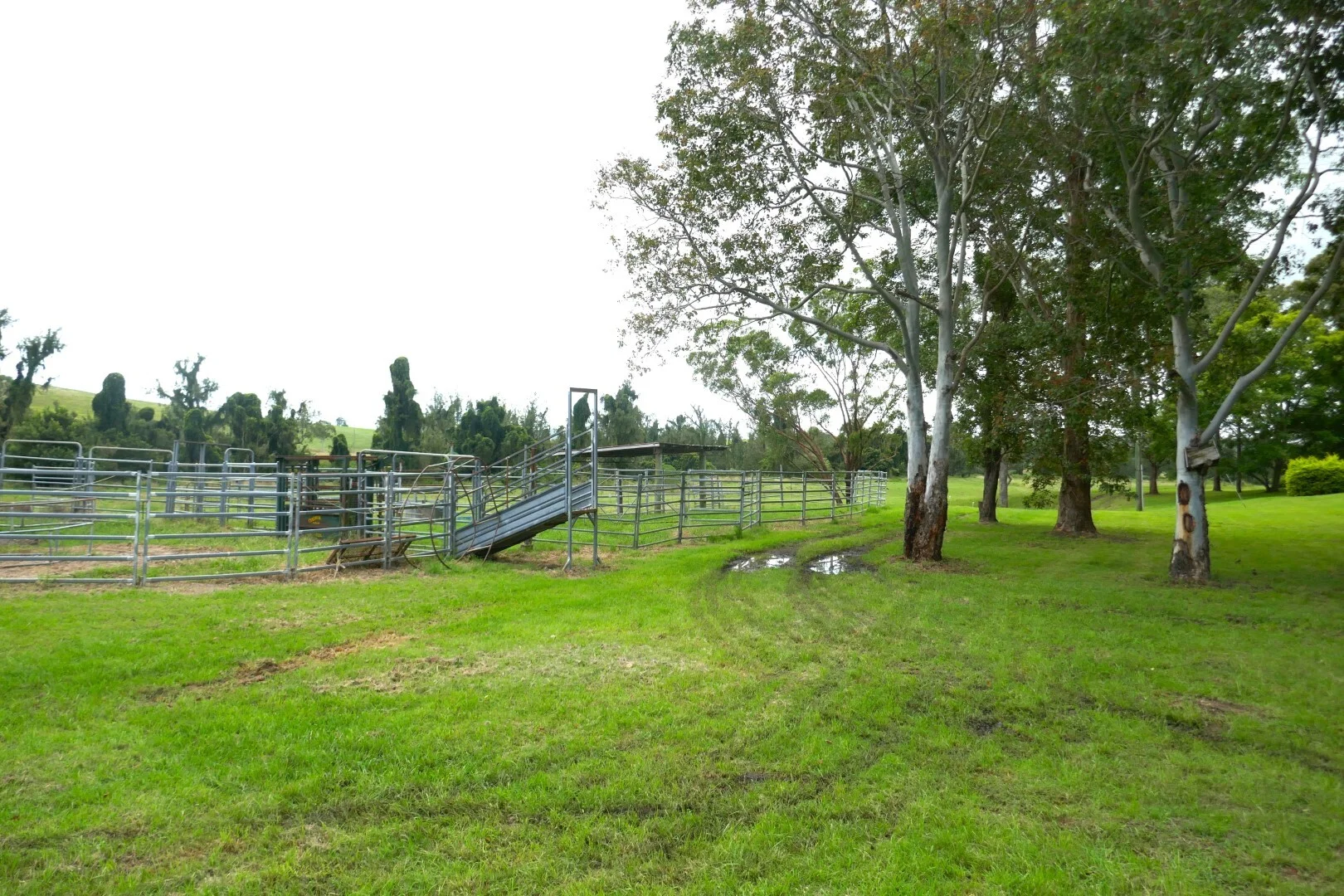 Additional image 17 of 495 Upper Stratheden Road, Kyogle NSW 2474