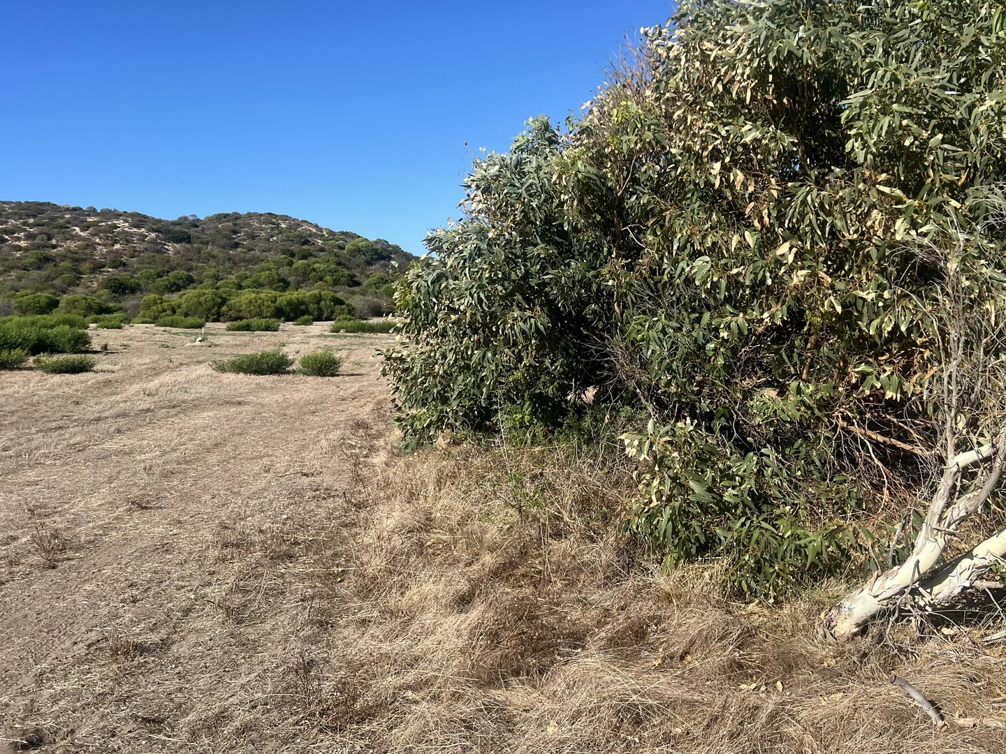 Additional image 6 of 7 North Island Loop, Greenough WA 6532