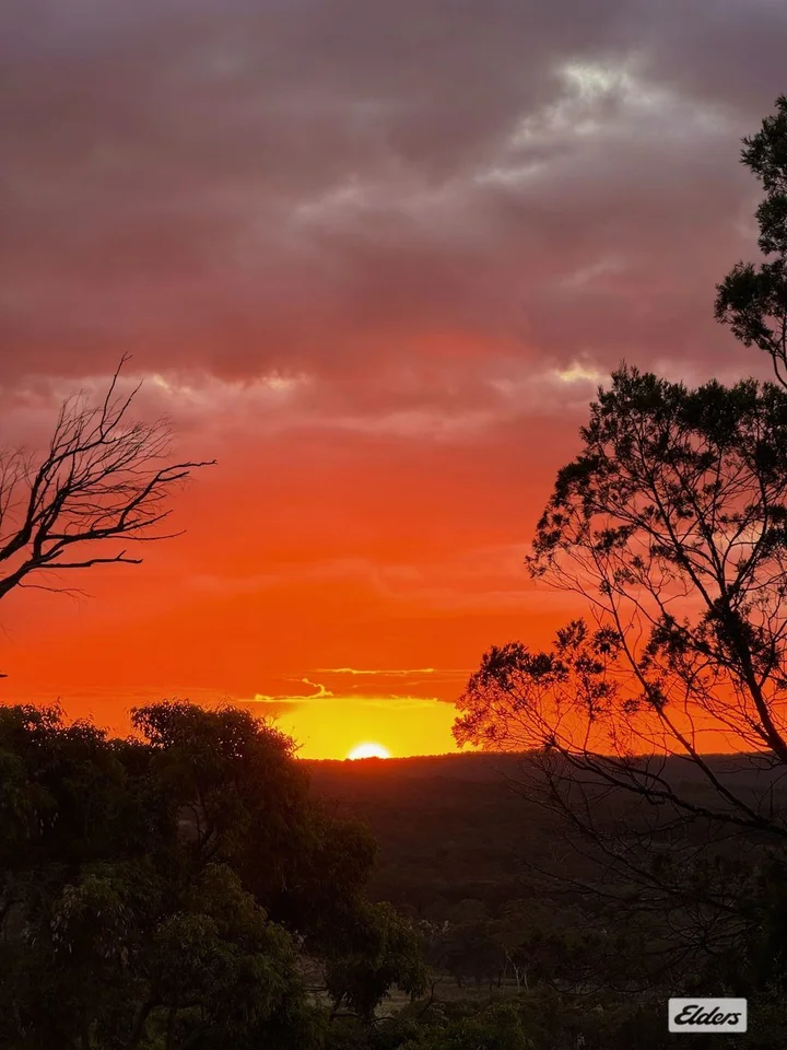 Additional image 23 of 81 Clark Lane, Severnlea QLD 4380