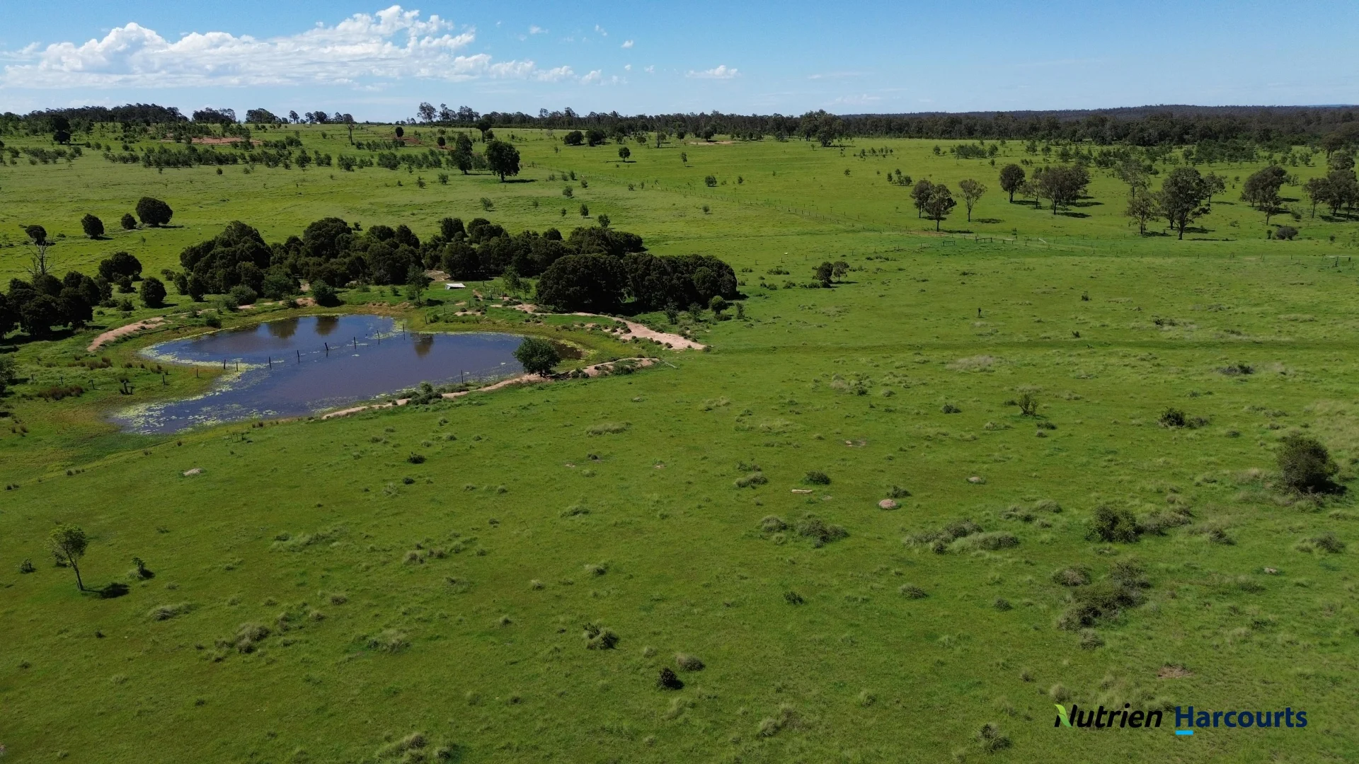 Additional image 29 of 960 Dangore Mountain Road, Dangore QLD 4610