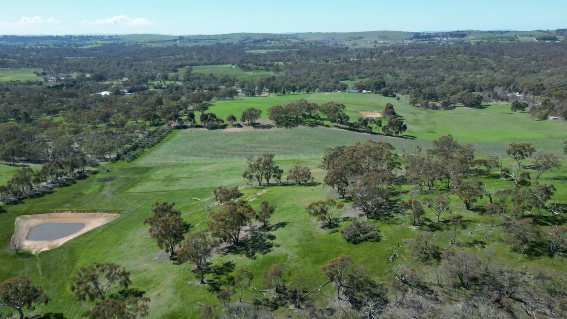 Additional image 3 of 97 McCord Lane, Gillentown SA 5453