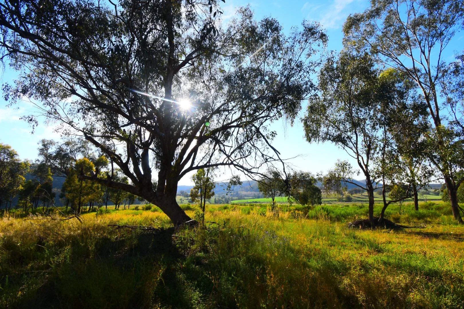 Additional image 16 of Lot 18 Hulks Road, Merriwa NSW 2329