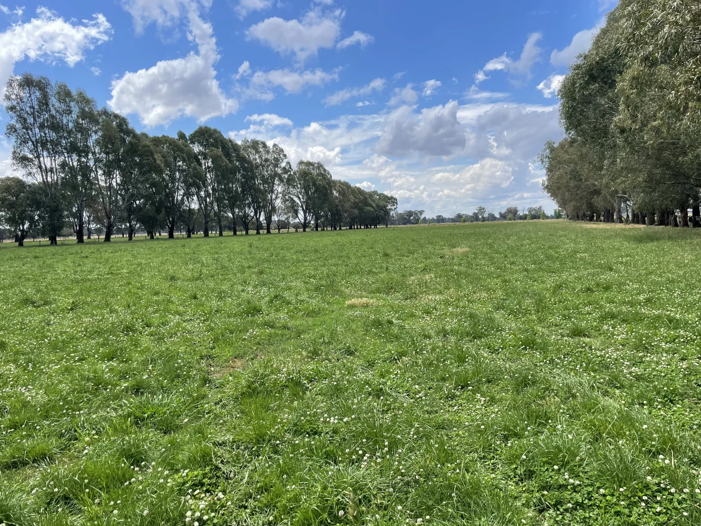 Additional image 4 of 630 Morrissey Road, Girgarre VIC 3624