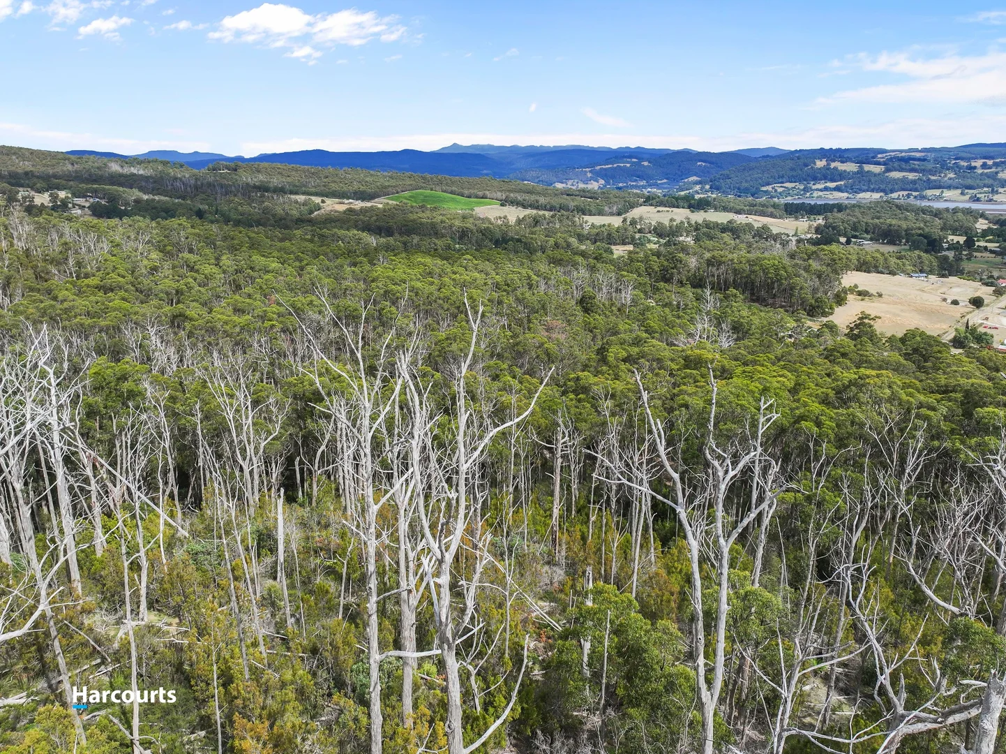 Additional image 16 of Lot 1 Slaters Road, Cradoc TAS 7109