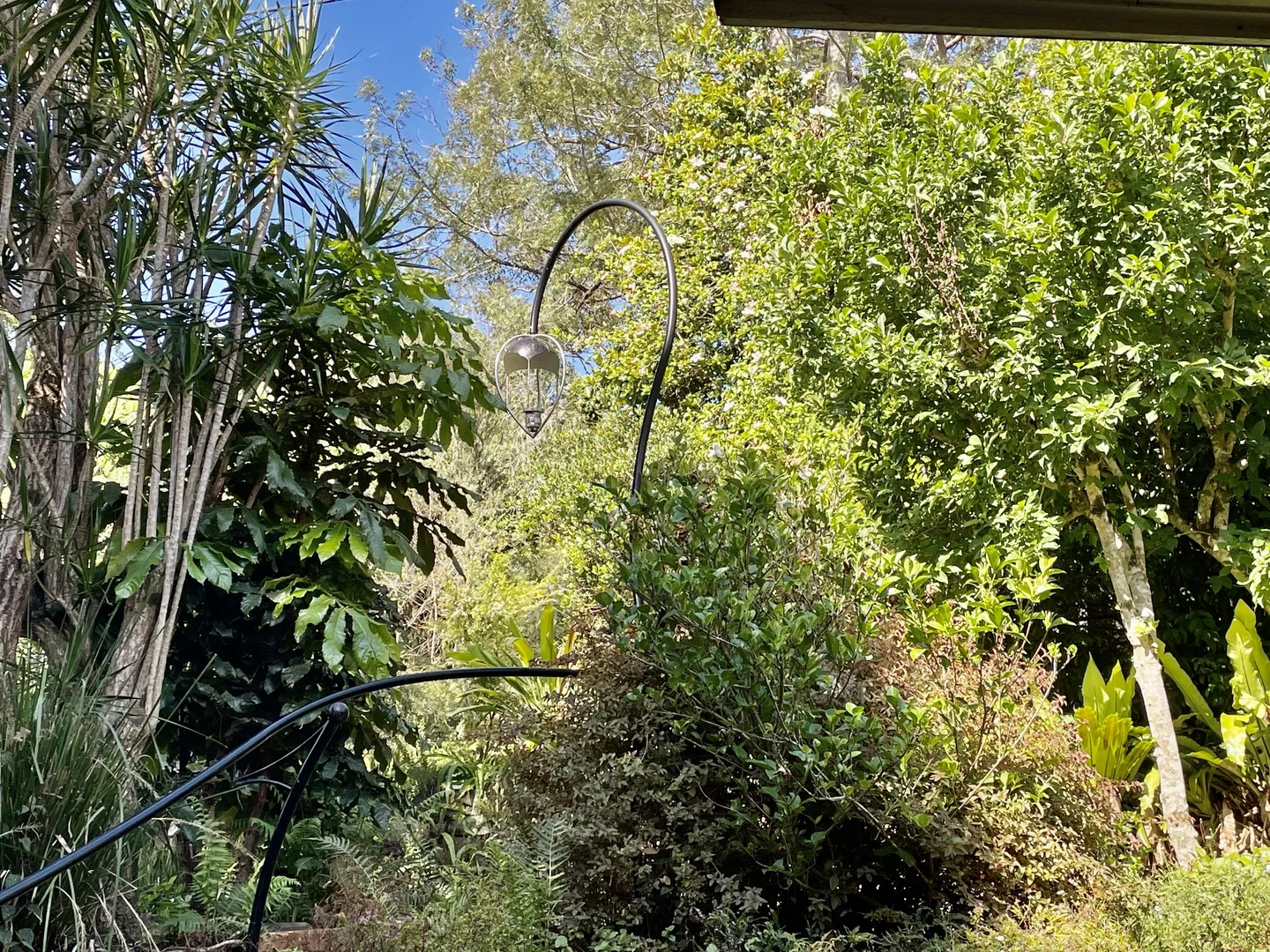 Additional image 32 of 14-16 Nimbin Street, The Channon NSW 2480