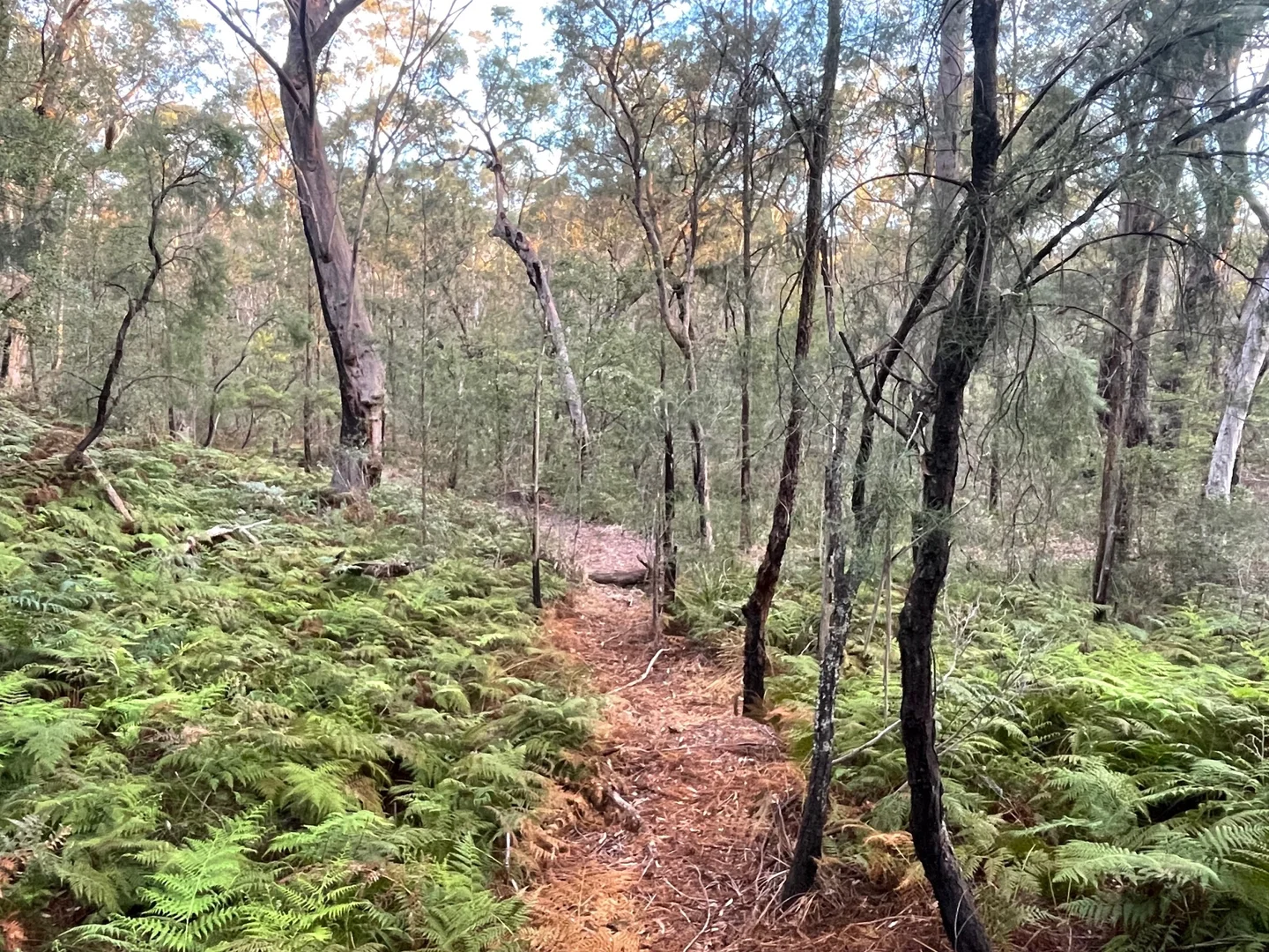 Additional image 13 of South Maroota NSW 2756