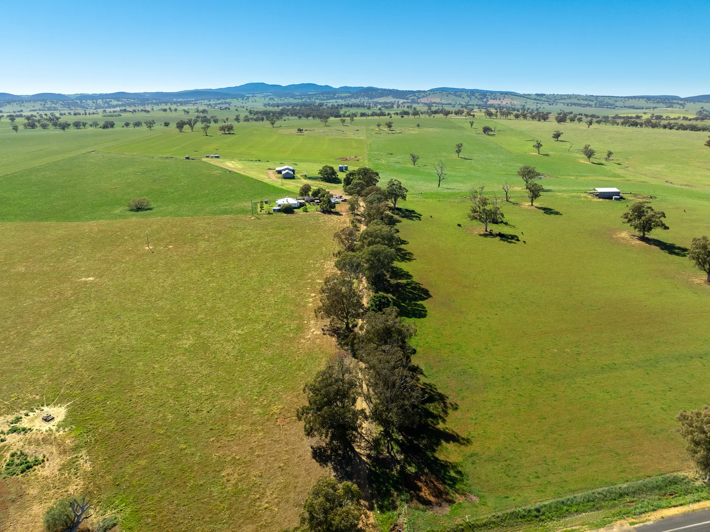 Additional image 22 of 'Wandella Park' 1097 Davys Plains Road via Cudal,, Orange NSW 2800