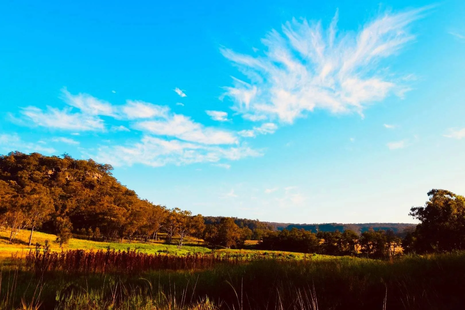 Additional image 7 of Lot 18 Hulks Road, Merriwa NSW 2329