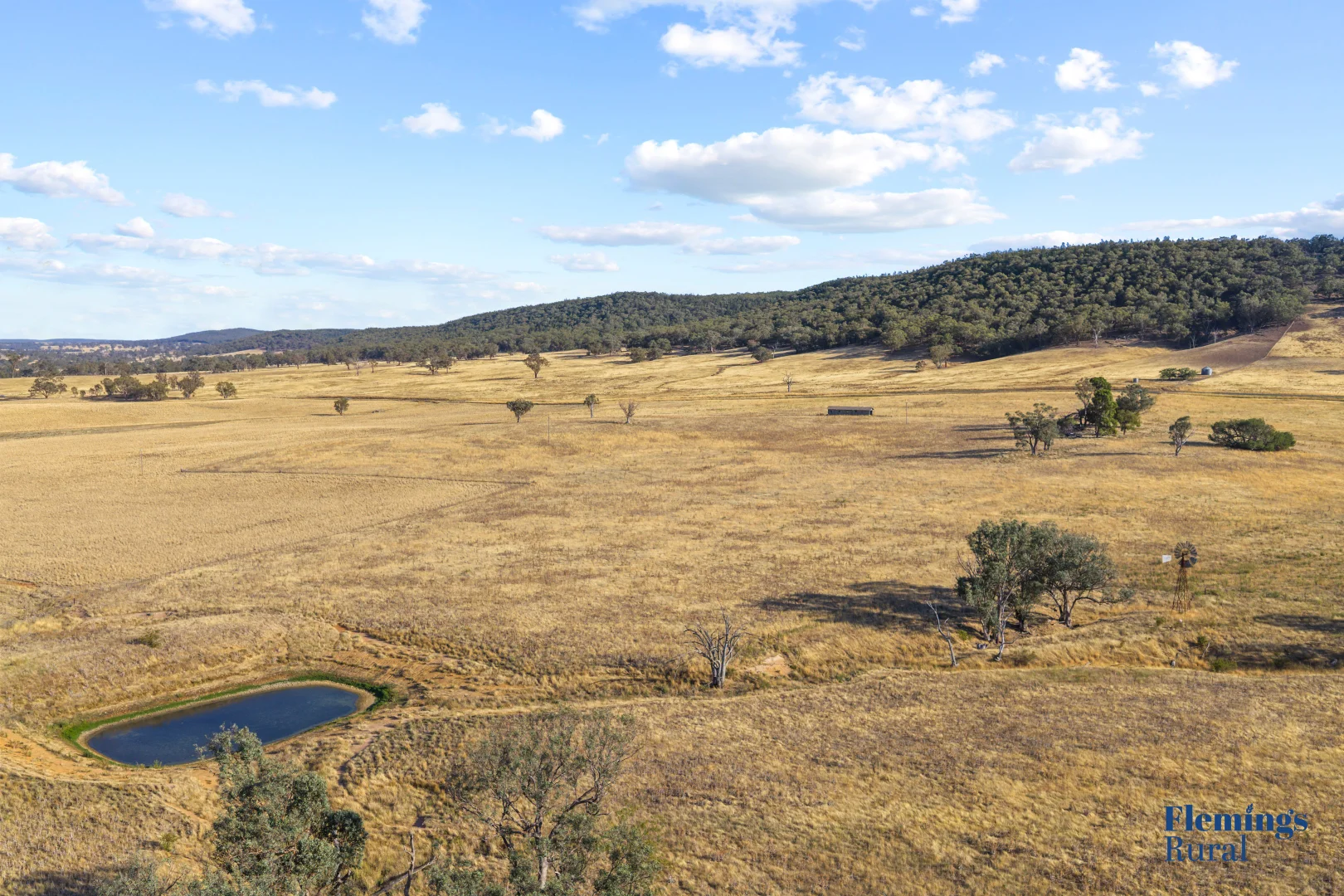 Additional image 11 of 145 Cusack Road, Boorowa NSW 2586