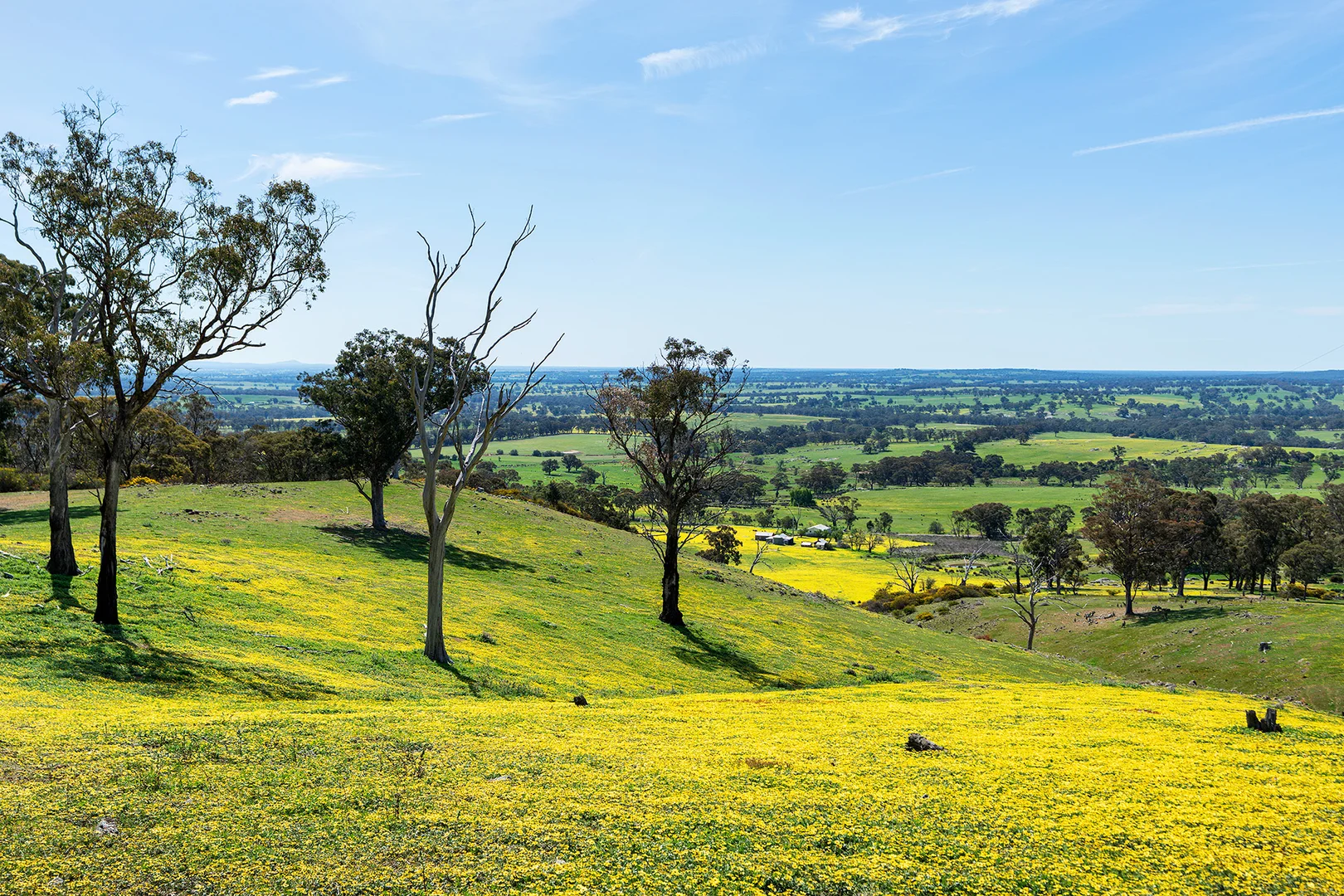 Additional image 12 of 225 Nuggetty Road, Maldon VIC 3463