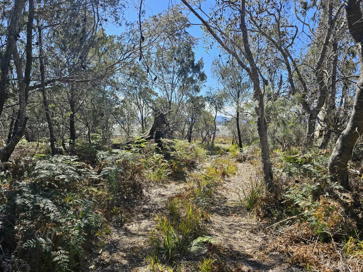 Additional image 15 of 1434 Coles Bay Road, Coles Bay TAS 7215