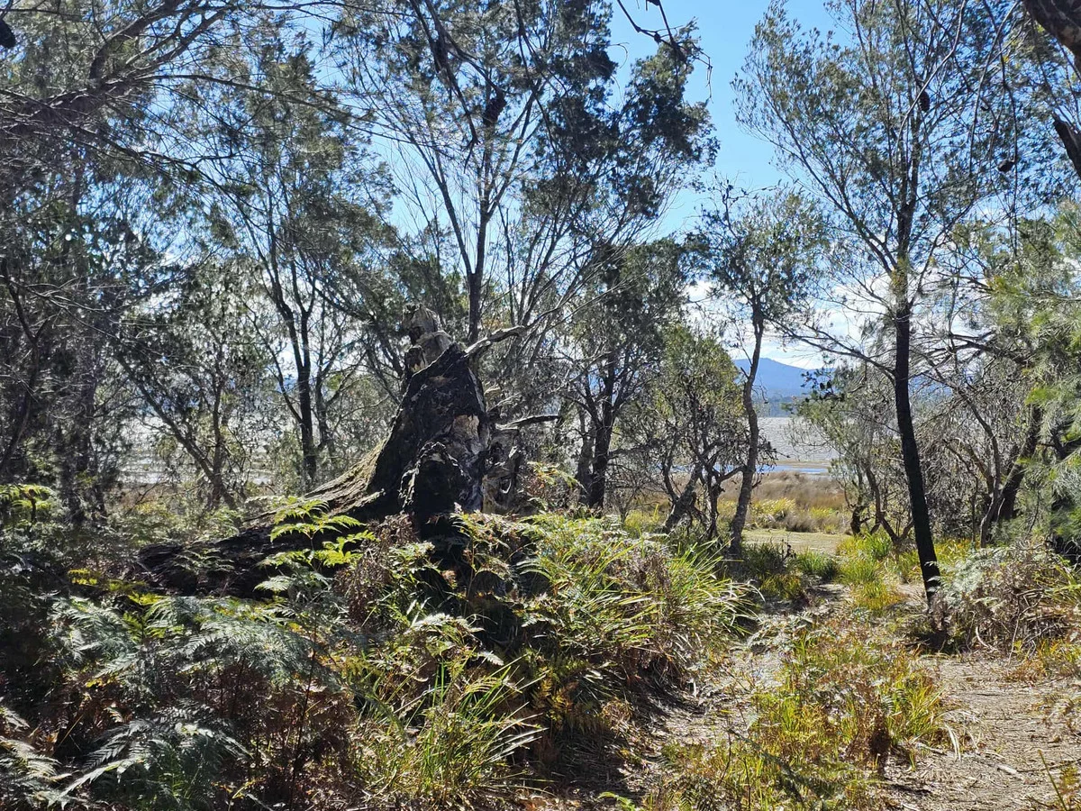 Additional image 11 of 1434 Coles Bay Road, Coles Bay TAS 7215