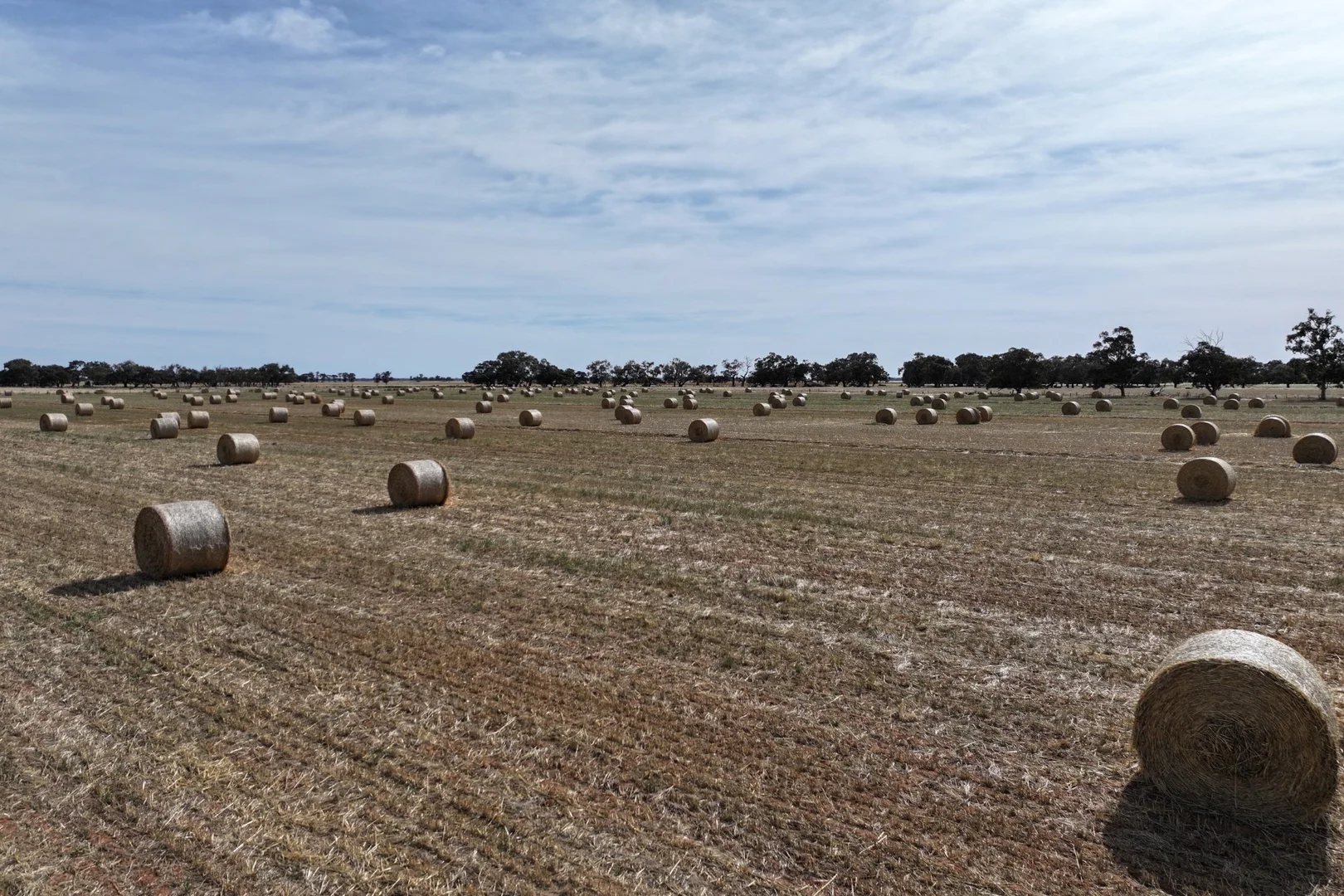 Additional image 2 of 1800 Mt Terrick Road, Roslynmead VIC 3564