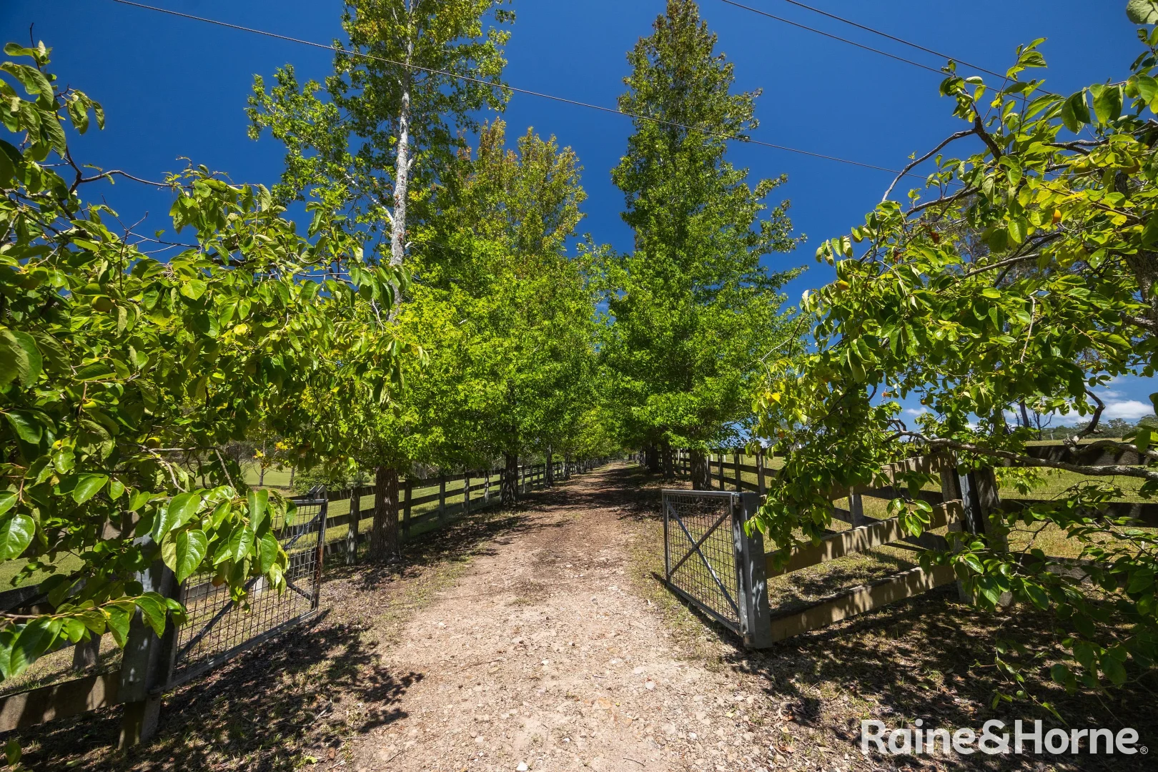 Additional image 11 of 56 Bawley Point Road, Termeil NSW 2539