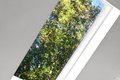 Additional image 9 of 16 Iron Springs Rd, Fairfax, CA, 94930