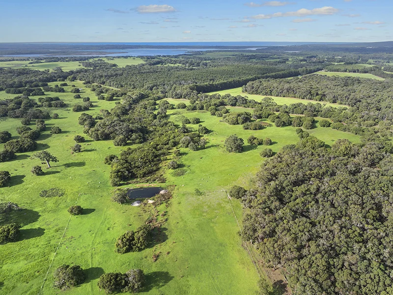 Additional image 10 of Lot 39 Blackwood Grove, Kudardup WA 6290