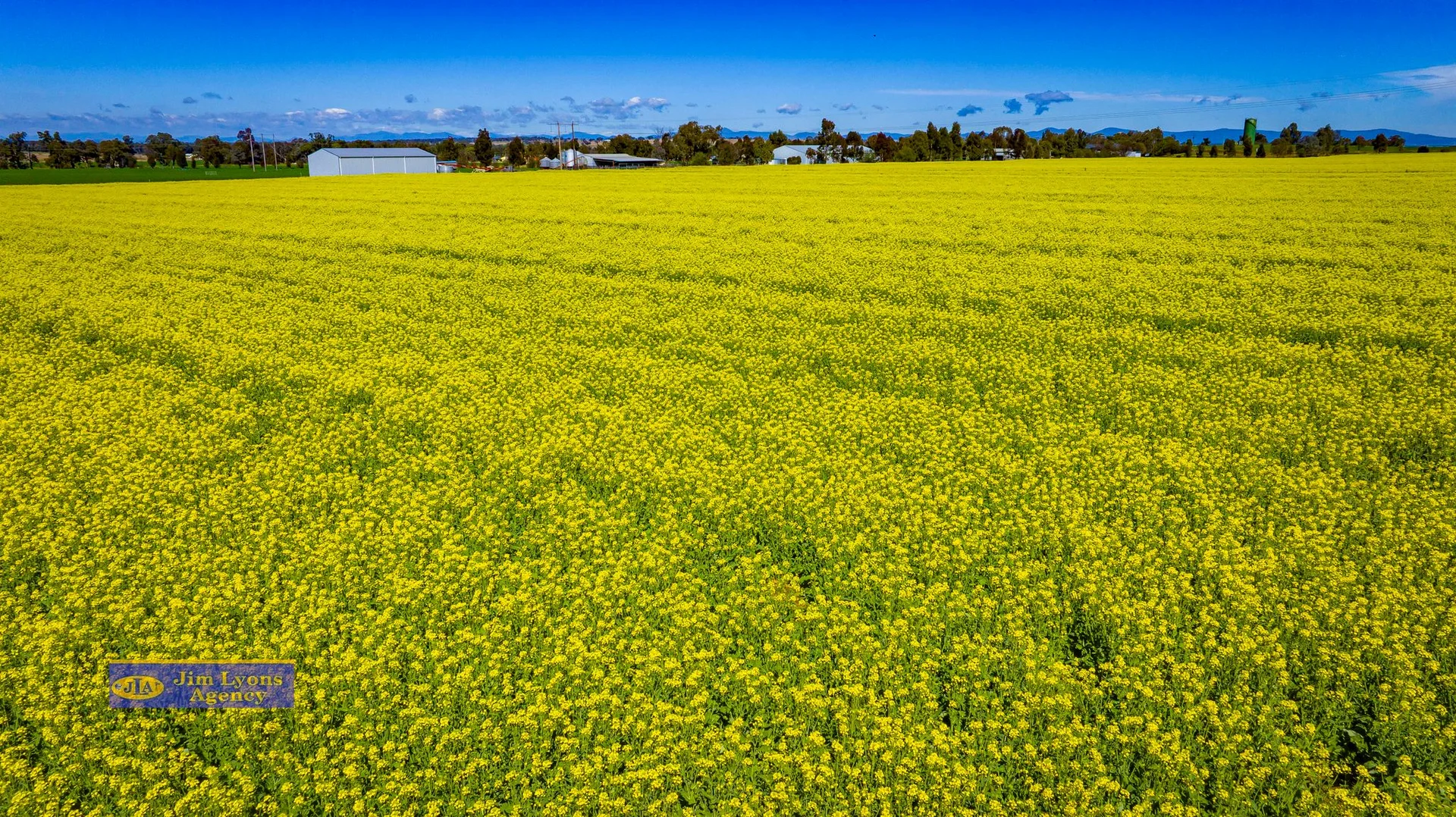 Additional image 6 of The Manor/2226 Manilla Road, Tamworth NSW 2340