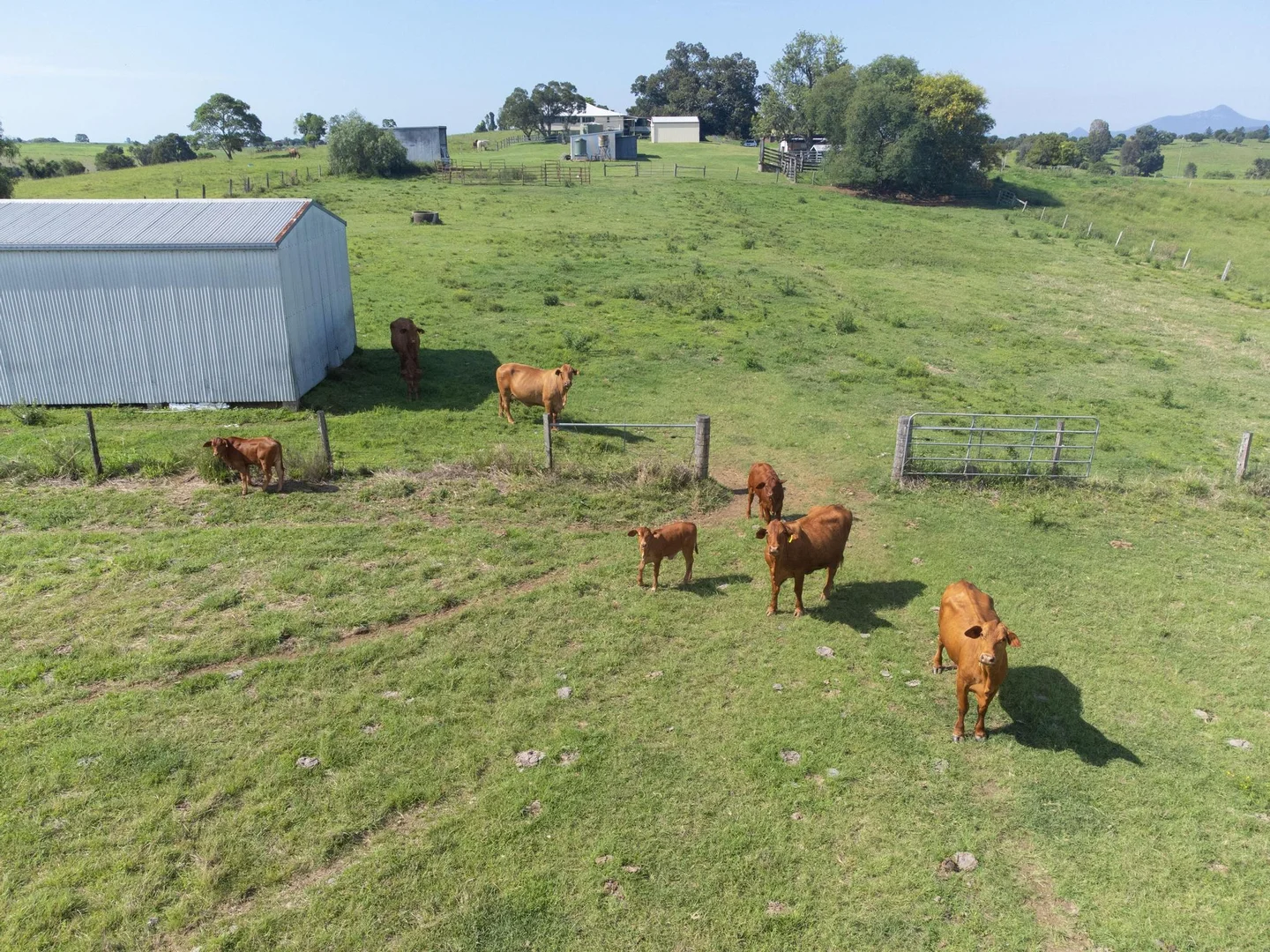 Additional image 23 of 219 Stanfield Rd, Teviotville QLD 4309