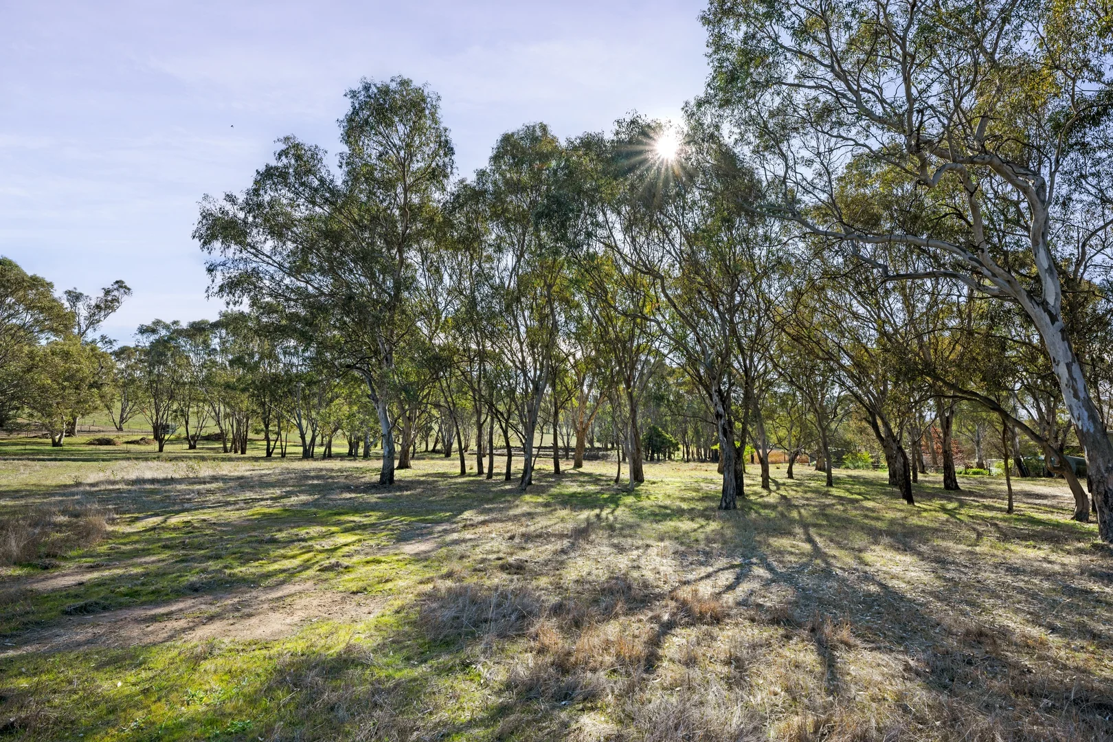Additional image 4 of 97 Old Sydney Road, Table Top NSW 2640