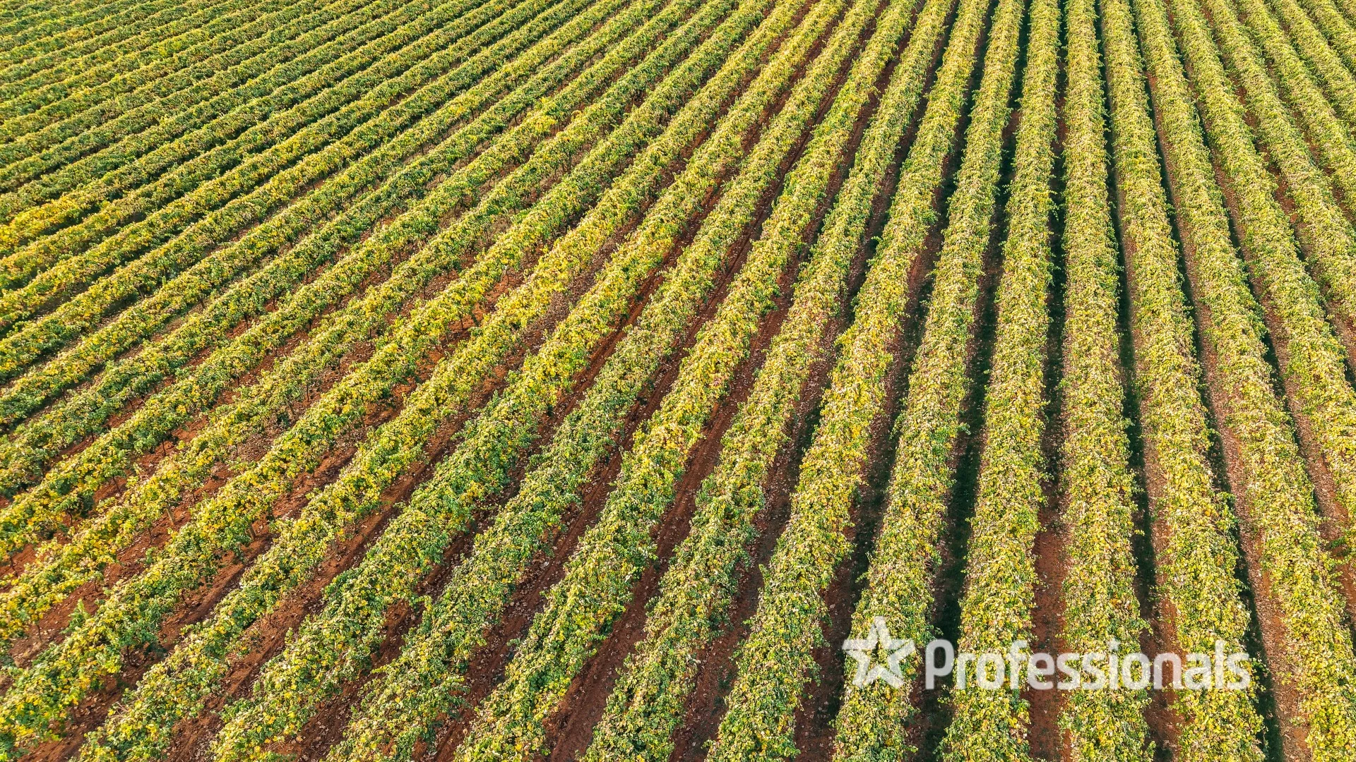 Additional image 8 of Lot 2 Myall Street, Cardross VIC 3496