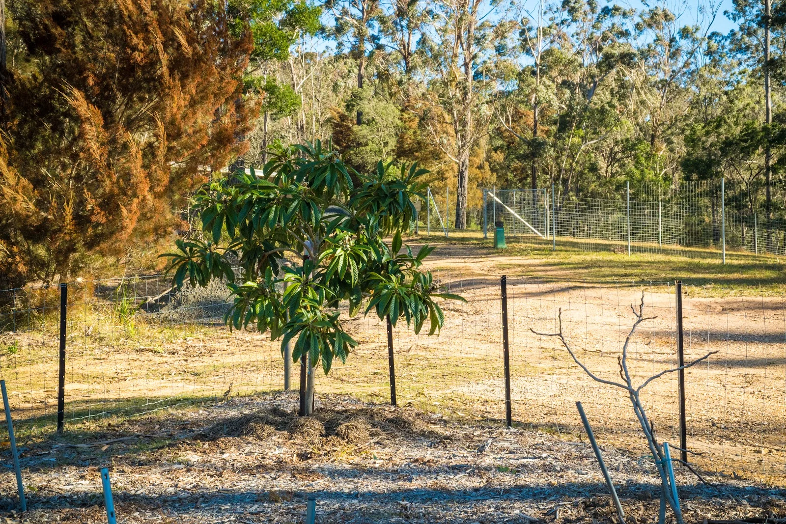 Additional image 35 of 950 Wagonga Scenic Drive, Narooma NSW 2546