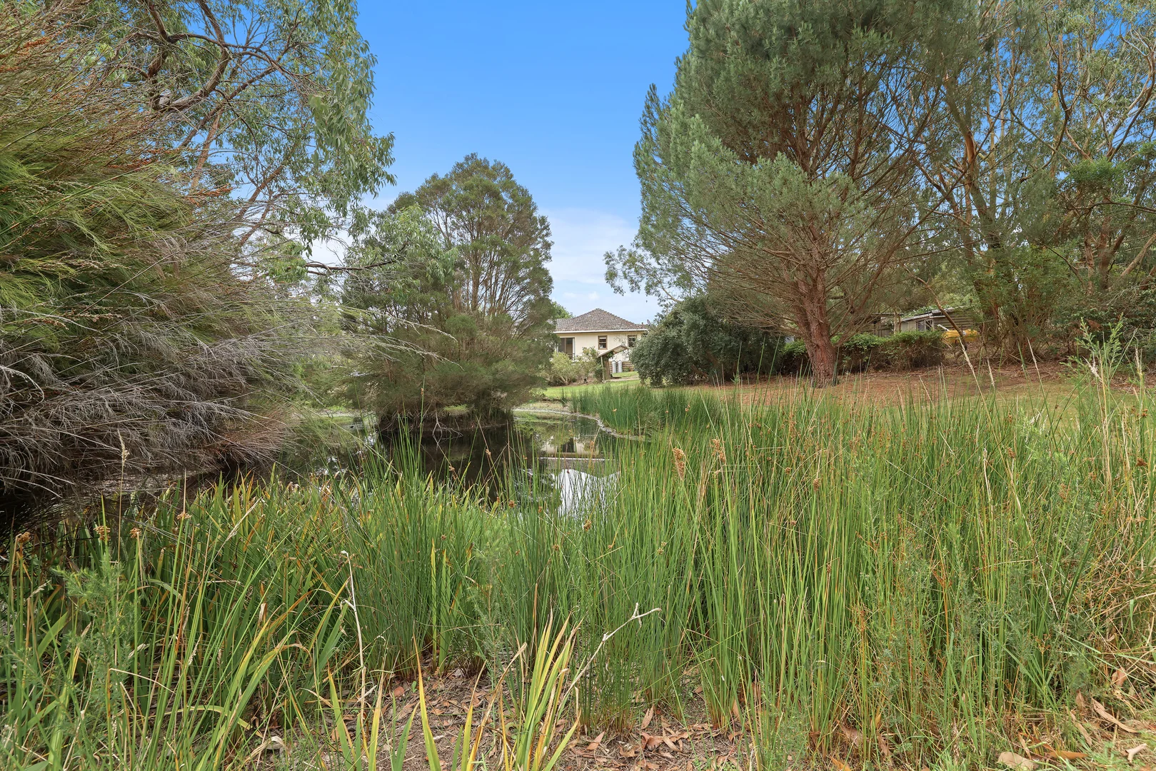 Additional image 17 of 29 Hall Road, Buffalo VIC 3958