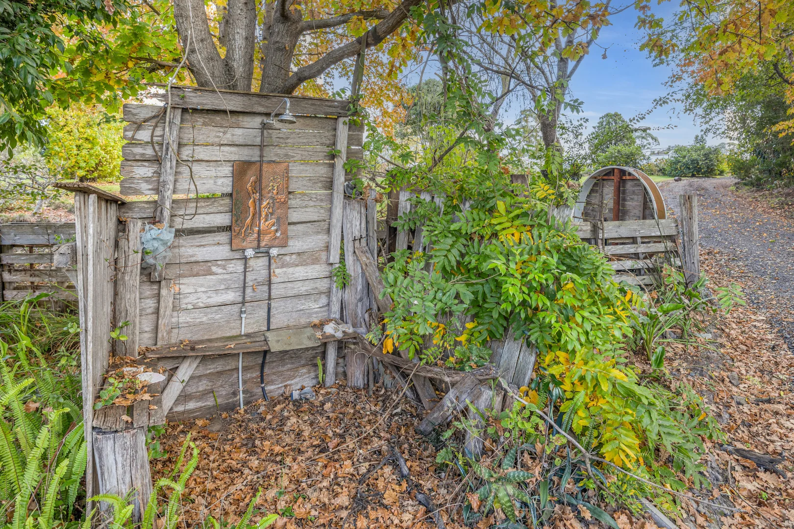 Additional image 22 of 59 Avernus Street, Cobargo NSW 2550