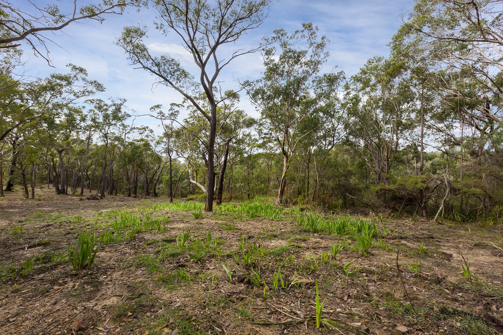 Additional image 6 of 41A Mount View Avenue, Hazelbrook NSW 2779