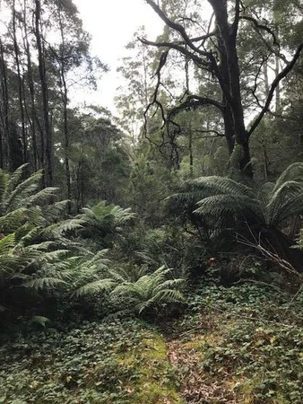 2 Murchison Highway, Rosebery TAS 7470