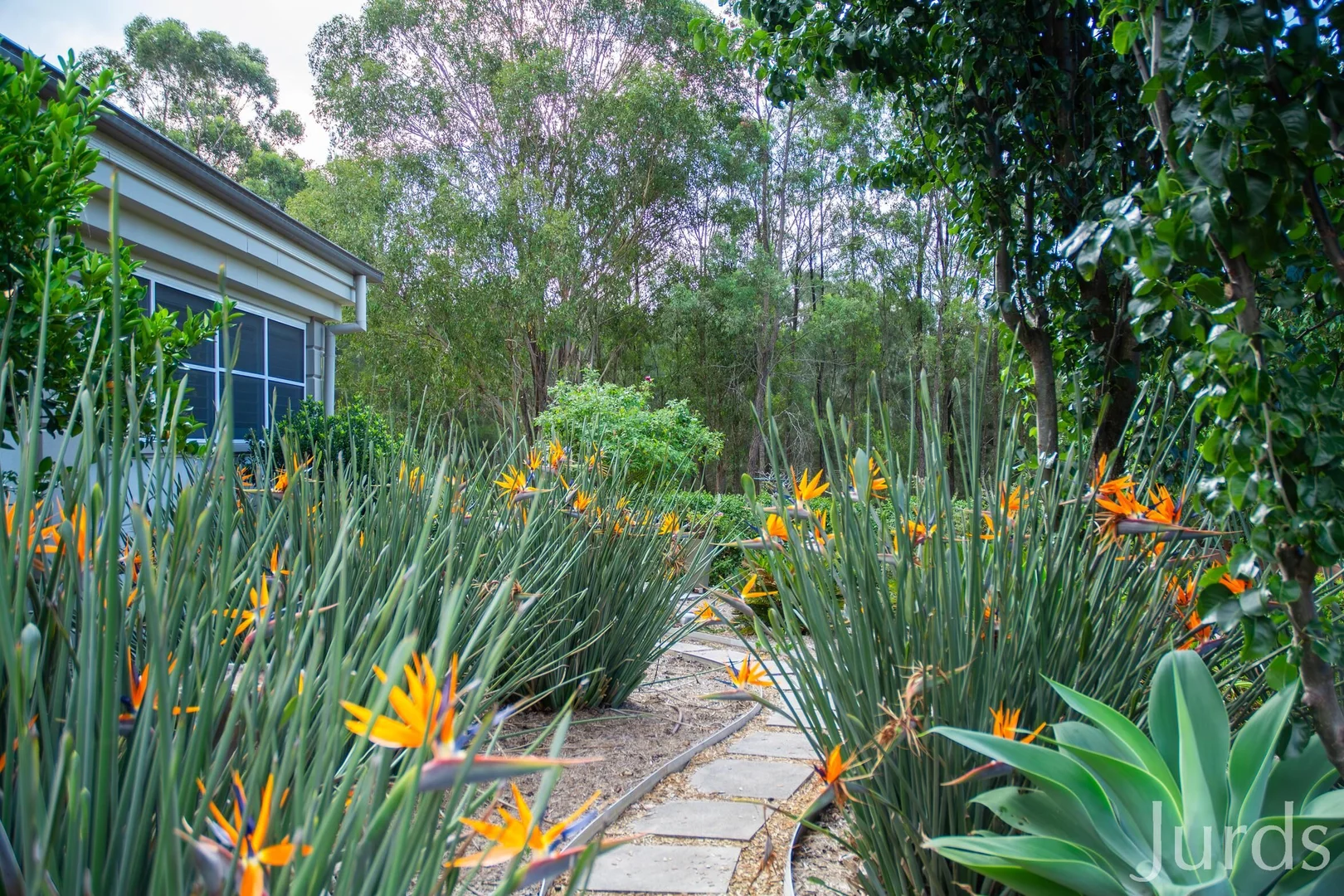 Additional image 34 of 6 Hillii Lane, Pokolbin NSW 2320