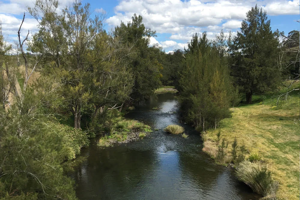 Additional image 7 of 1644 Paterson River Road, Lostock NSW 2311