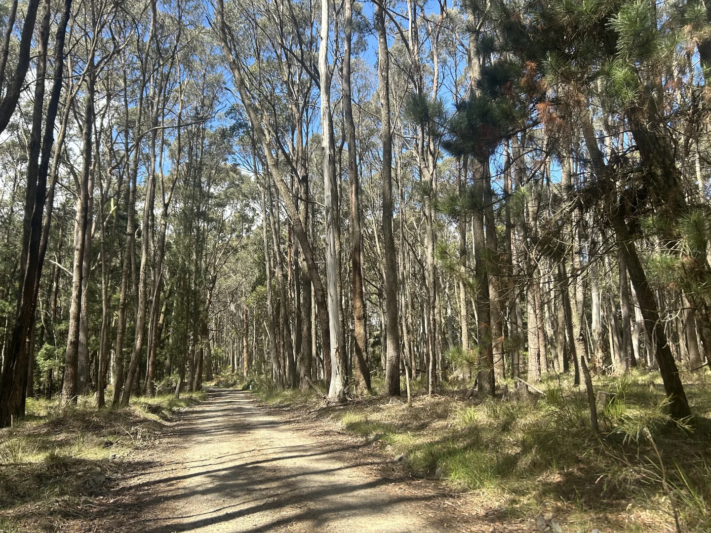 Additional image 15 of 175 Blighs Road, Trentham VIC 3458